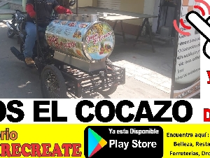 JUGOS EL COCASO 